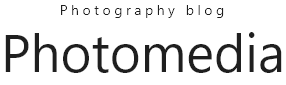 torrent99pkv.web.app
